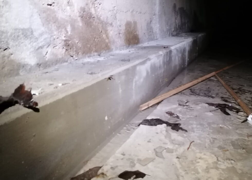 Worn concrete bench along a rough wall in a dark basement with scattered debris on the floor
